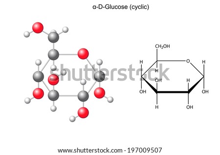 Structural chemical formula and model of glucose (alpha-D-glucose), 2D and 3D illustration, vector, isolated on white background, eps8 Royalty-Free Stock Photo #197009507