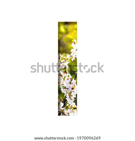Spring sunny font. The letter I cut out of paper on the background of blooming cherry on a sunny spring day. Set of decorative natural fonts.