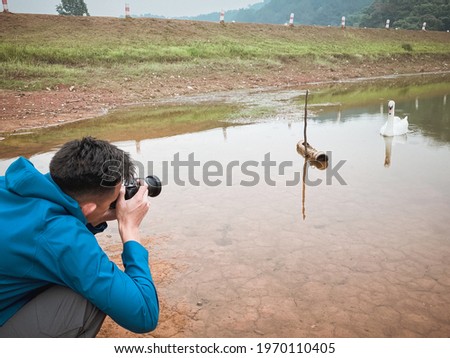 Young man photographer take a shot to the white swan in the lake , activity , freedom and recreation concepts