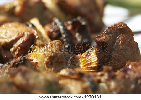 macro picture of cooking shashlik from meat