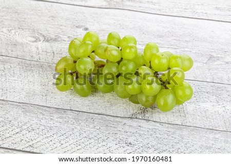 Ripe sweet green grape branch isolated