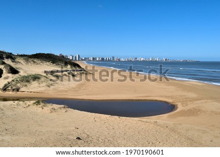Photography of vegetation in a dune, a puddle, the sea and the skyline of Punta del Este City