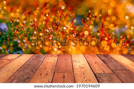 Gold abstract background with bokeh defocused lights
Abstract colorful defocused circular facula,abstract background
