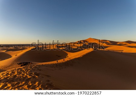 A shot of North Algodones Dunes Wilderness Area Acolita USA Royalty-Free Stock Photo #1970222857