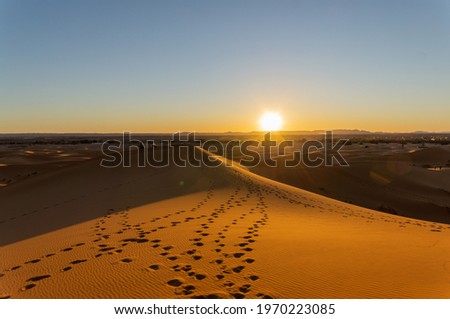 A shot of North Algodones Dunes Wilderness Area Acolita USA Royalty-Free Stock Photo #1970223085