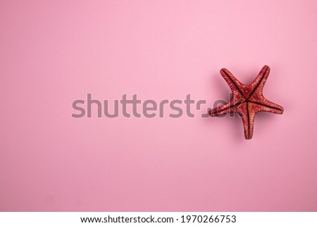 starfish macro on pink background