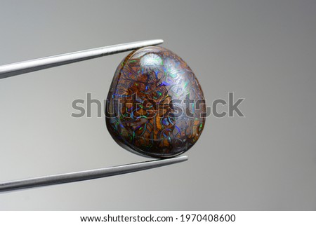 Australian natural brown ironstone matrix boulder multi color play neon blue, green and red veins opal freeform oval cabochon polished loose gemstone in tweezers. Pebble for making jewelry.