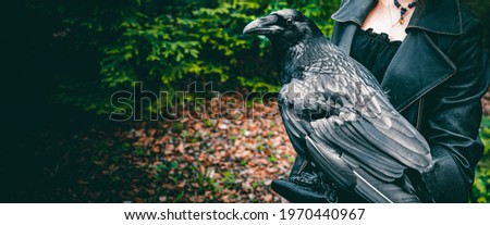 girl in the forest with a big black raven on his hand