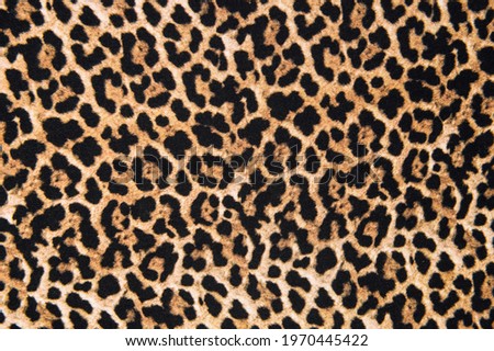 Animal print textile texture. Leopard fur design background
