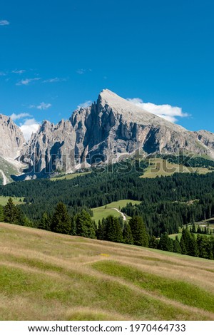 summer panorama of the mountains dolomites
