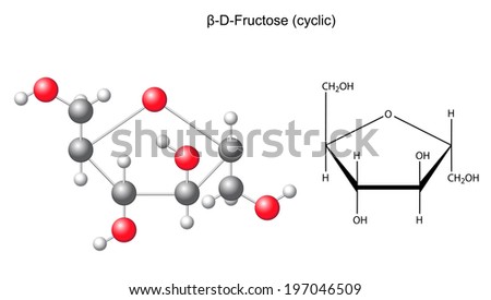 Structural chemical formula and model of fructose (beta-D-fructose), 2D and 3D illustration, vector, isolated on white background, eps8