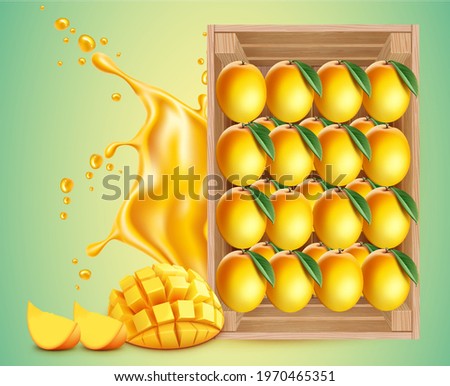 Mangoes Box Rear View, Mango Season Royalty-Free Stock Photo #1970465351