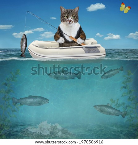 A colored cat fisherman in an inflatable rubber boat caught a trout in the sea.