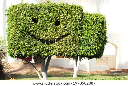 A tree with a smile