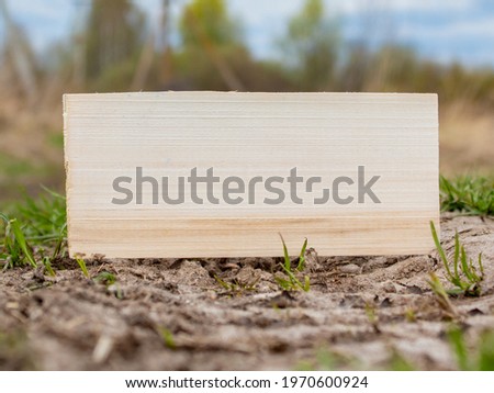 Wooden plank. Background for the inscription.