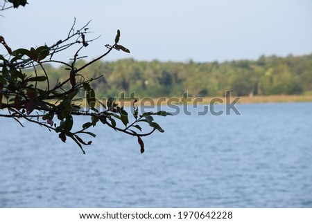 boat  and beautiful lake in village in sri lanka