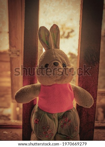 a photo of a doll with an old atmosphere around it