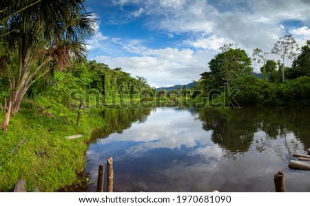 Amazon rainforest, Peru, panoramic landscape of the tropical jungle, and biosphere reserve located in river Madre de Dios, Manu National Park, full of diverse ecosystems such as lowland rainforests.