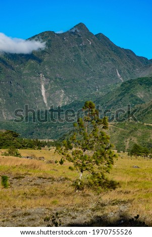 View of the trees and mountain tops found in the Barú Volcano National Park, Panama.