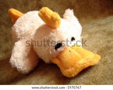 toy - the duck on a background