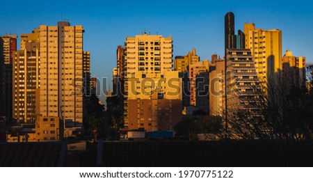 

Buildings in a city being illuminated by the light of the setting sun. View of the city of Londrina at golden hour. Urban dusk under the orange rays of the sun. Dry tree in a cit