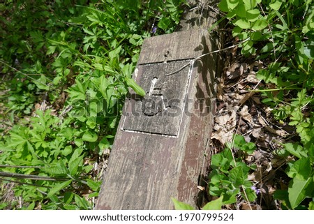 Abandoned old wooden handicap sign laying on forest floor