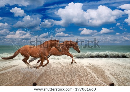 Two horses running along seashore,  blue sea and sky, waves, white clouds, picture for chinese year of horse 2014
