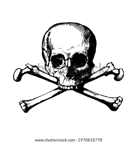 Human skull with crossbones. Vector illustration isolated on white background.