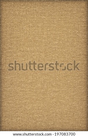Photograph of un-primed coarse grain, artist's Cotton duck canvas vignette texture sample