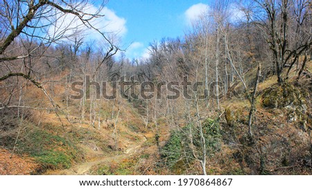 Beautiful spring forest in the mountains. Azerbaijan.