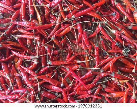 Many red chili peppers Red chili background picture