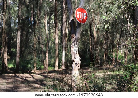 Red 'stop' sign hanging on eucalyptus tree trunk in bush land along trail on sunny day.