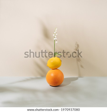 Vibrant orange, yellow lemon and white lily of the valley on biege wall. Spring or summer pastel background with shadows. Minimal concept art.