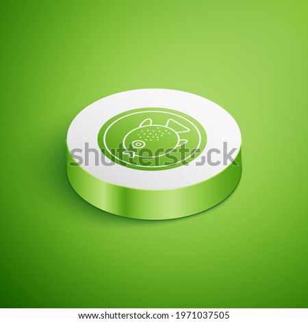 Isometric Puffer fish on a plate icon isolated on green background. Fugu fish japanese puffer fish. White circle button. Vector