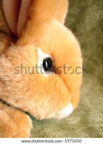 snout of orange rabbit - toy in background