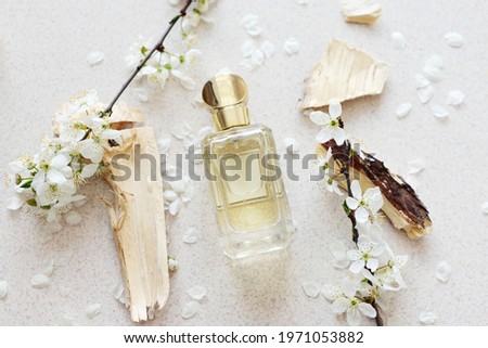 glass perfume bottle with fragments of wood and sakura flowers on a light background. Concept of delicate feminine floral perfume Royalty-Free Stock Photo #1971053882