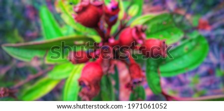 Abstract background and blur effect. The art based on a plant picture