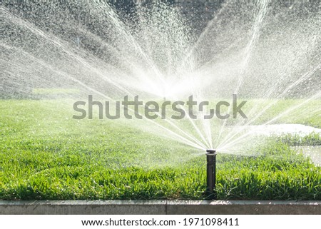 Garden irrigation system lawn. Automatic lawn sprinkler watering green grass. Selective focus. Royalty-Free Stock Photo #1971098411
