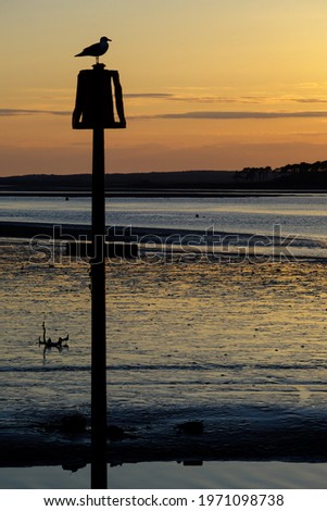 Seascape at sunset with beautiful orange sky and silhouette of a seagull sitting on a post. 