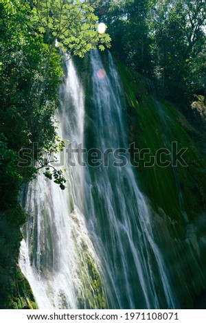 The photo of the waterfall was taken in the Dominican Republic in the rainforest. The picture of the jungle with water impresses with its pristine nature and beauty.