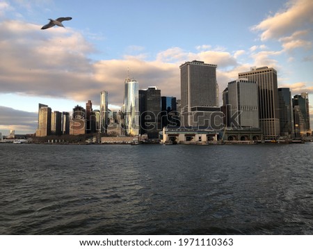 new york city photo with a bird
