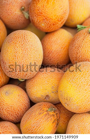 A large pile of orange melons lies on the market. Fresh fruit