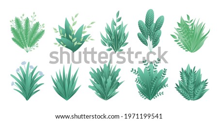 Greenery branches. Green realistic spring grasss. Leafs of exotic plant Collection of tropical abstract isolated symbols. Different patterns of natural lawn meadow bushes