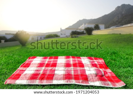Blanket background of free space for your decoration and summer landscape of garden. 