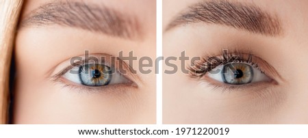 Eyelash extension procedure before and after. Beautiful woman green eyes with long lash in beauty salon. Royalty-Free Stock Photo #1971220019