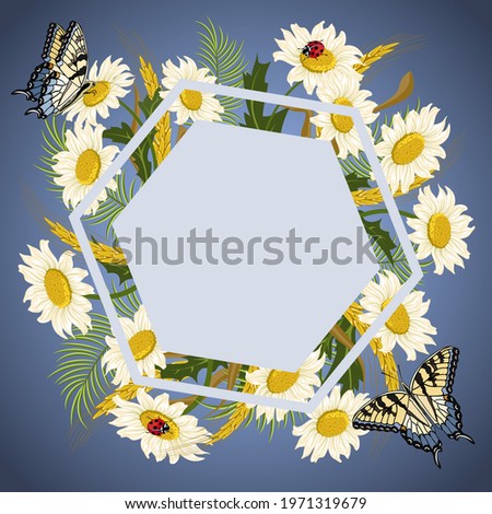 Illustration with frame and camomiles.Butterflies, daisies and frame on a colored background in vector illustration.
