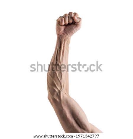 Strong arm and hand veins on white background. Object images for graphic design Royalty-Free Stock Photo #1971342797