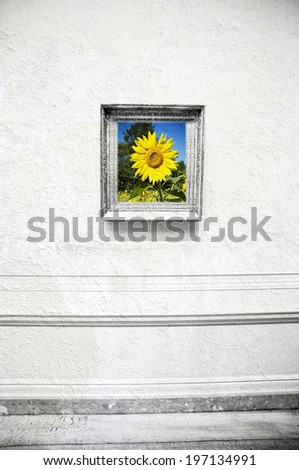 A framed picture of a sunflower on a sunny day.