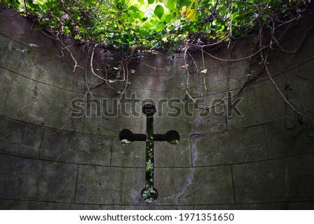 The eerie visage of an ancient chapel, shrouded in vines.