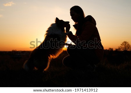 The silhouette of a woman with her shaggy dog. Owner and pet at sunset